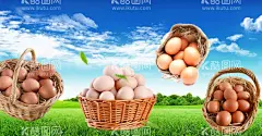 鸡蛋  - 源文件下载【酷图网】鸡蛋,土鸡蛋,土鸡蛋生产,土鸡蛋主题,土鸡蛋展板,土鸡蛋墙画,土鸡蛋吊旗,土鸡蛋挂画,土鸡蛋海报,土鸡蛋设计,土鸡蛋宣传,土鸡蛋展架,土鸡蛋单页,土鸡蛋快展,土鸡蛋背景,土鸡蛋画面,土鸡蛋创意,土鸡蛋折页,土鸡蛋开卖,设计,