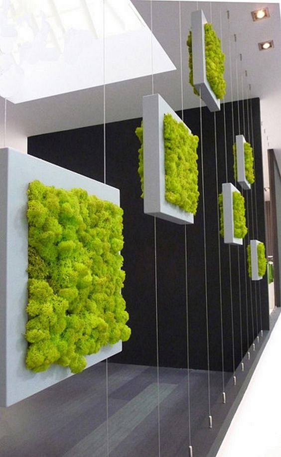 Green Living Walls (...