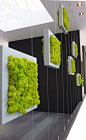 Green Living Walls (23 Pics) | Vitamin-Ha: 