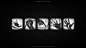 nelson-neto-portfolio-perks-11