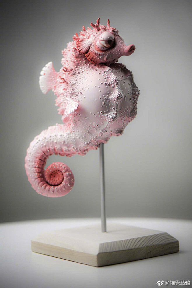 艺术家 Kasia Anyszkiewi...