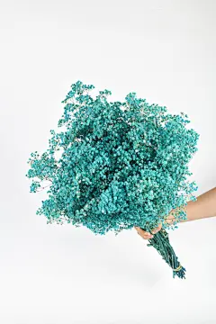 永生花满天星干花花束手工diy批发情人节教师节七夕礼物伴手礼