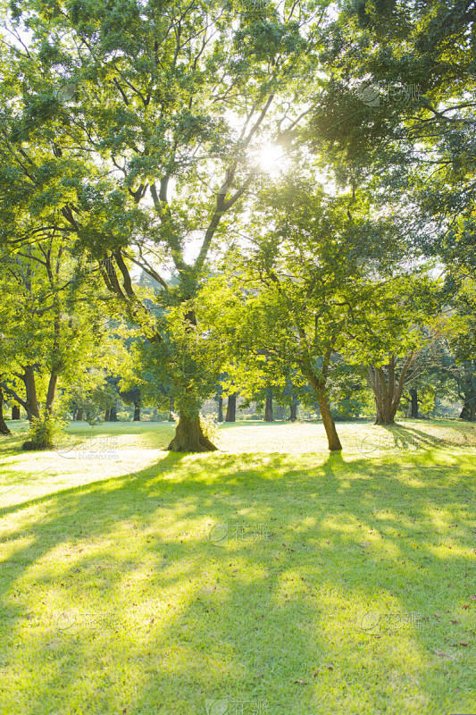 公園 太陽光