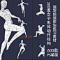 395 PS笔刷女子形体动态造型多角度简化结构线条速写练习手绘素材-淘宝网
