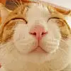 LING~\(^o^)/~