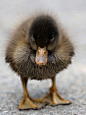 mistymorrning:

 Source:imgfave.com

