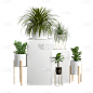 手绘小清新绿植盆栽组合