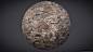 #46 Photogrammetry Texture : Wall 06, Sébastien Van Elverdinghe : It's been a while since I last posted a scan!

I spent a lot of time trying to improve the overall quality of my textures. I also upgraded from my entry level DSLR to a proper full frame on