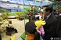 别了，中国人马英九_2009年1月24日，马英九和500名孤儿与贫困家庭的孩子一起在台北动物园参观中国大陆赠送的大熊猫“团团”和“圆圆”。