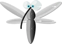 甲虫，昆虫 蚊子 刺 飞 昆虫