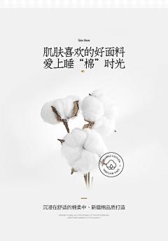 花开的声音1211采集到棉花