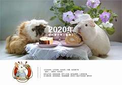 志宏CG三维建模和渲染采集到2020鼠年台历