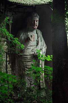 づ乱世佳人べ采集到人物