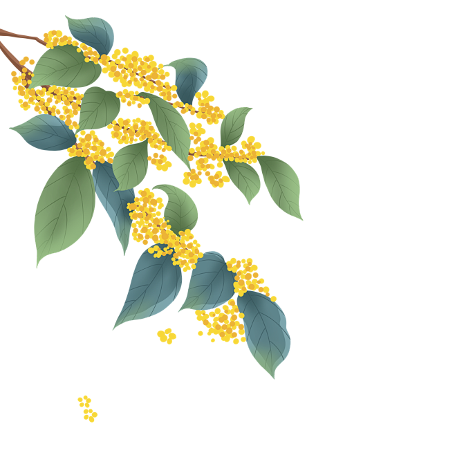 金秋 手绘桂花素材