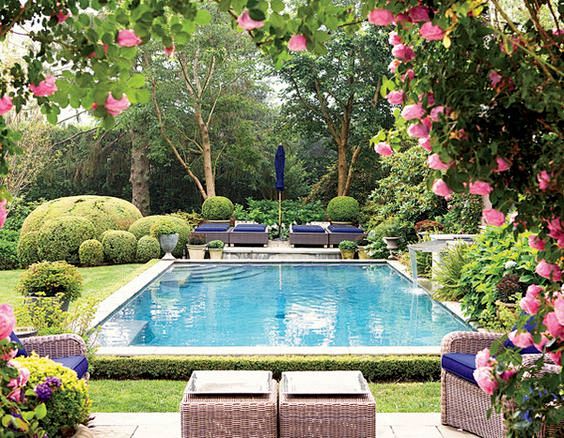El jardin: El jardin...