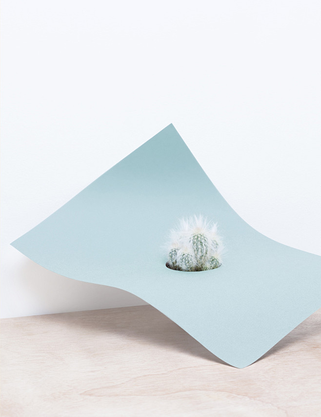 martina-lang-paperpl...