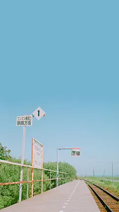 风景