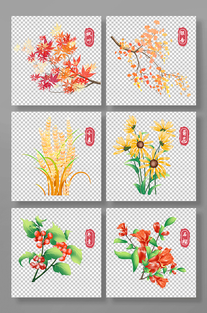 枫叶银杏小麦石榴菊花秋季植物花卉元素插
