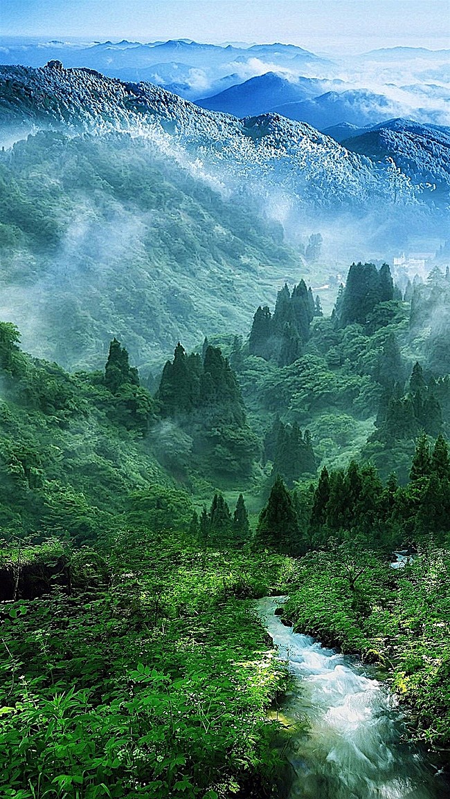 森林山水风景H5背景