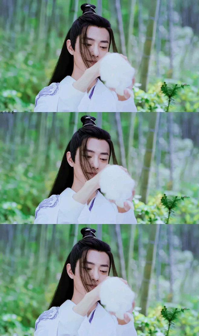 陈情令
魏无羡
肖战