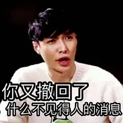 exo表情包 张艺兴 LAY 
