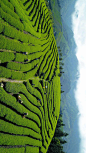 【今日清明节】 (© Xinhua/Alamy Stock Photo)

2020-04-04

 3584