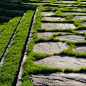 flag stone in grass