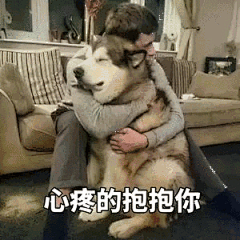 老铁们，想看看你们的表情包，有什么能反杀这张图？_李毅吧_百度贴吧