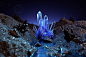 3D crystal Octane Render Render 3ds max abstract cuve light Landscape macro