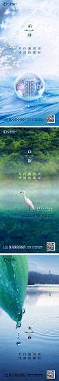 地产白露寒露霜降海报