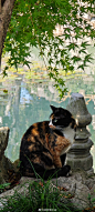 77f61a44gy1hvb80xz0bkj21f835snpe