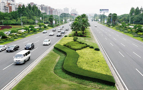 道路绿化中的植物配置设计【荐】