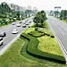 道路绿化中的植物配置设计【荐】