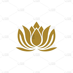 漫步繁花小径采集到工作室