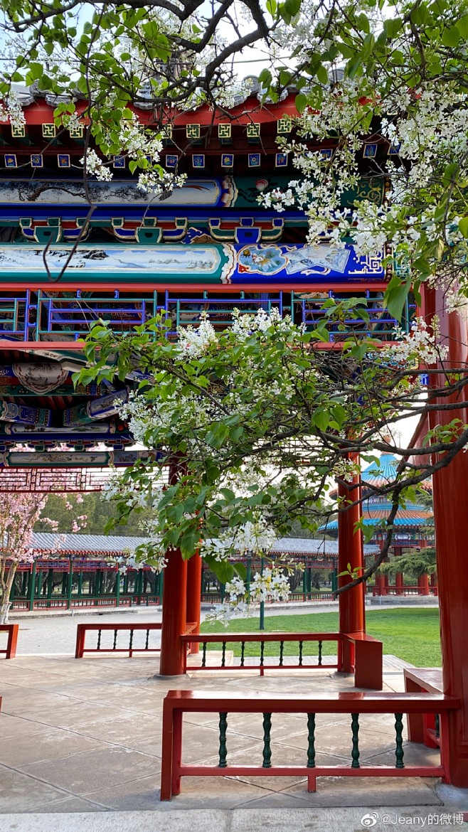 我的首页 微博-随时随地发现新鲜事