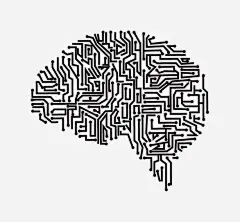 矢量手绘大脑_新图网 https://www.ixintu.com