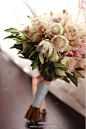  新娘花（Serruria florida），此花为山龙眼科，原产于南非。植株高约0.8－1.5米，半高宽，叶纤细、多裂，花白色和浅粉红，花期七月至十月哦。