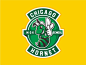 Chicago Hornet