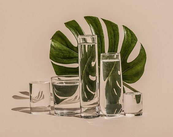 suzannesaroffdistortsfoodandflowersasifrealdigitalglitches