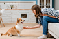 side-view-dog-giving-paw-owner_23-2148567070.jpg (1380×920)