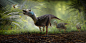 damir-g-martin-finalisms-insta-artst-2scaled2