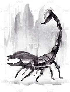 画的蝎子侧面水彩草图