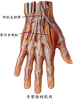 Aye++采集到手