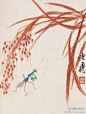 齐白石 作品《稻谷螳螂》(623×825)