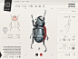 Insect Definer on Behance http://designart.zcool.com.cn/