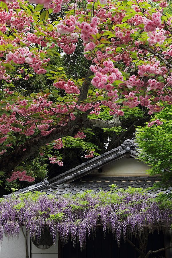  正法寺