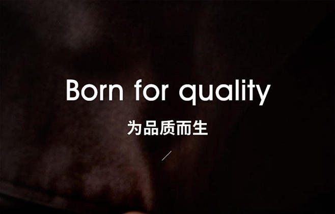 真皮专题