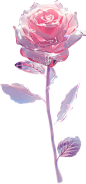 955a7821d1484eccaa8e0214c906