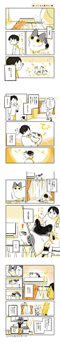 出会って12年、ずーっと一緒に暮らす猫。ふたりの日常は幸せで満ちている。とにかく登りたい！ 12年前、小さいころの猫は高いところを見上げてはうずうずしていた。足場を見つけると飛び乗って、高所を満喫するものの…。
