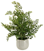 Artificial Wire Fern, White Ceramic Planter contemporary-artificial-plants-and-trees